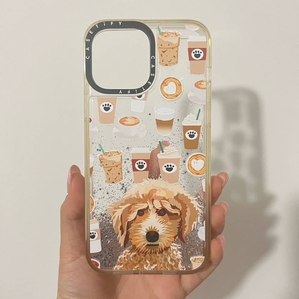 Casetify iPhone 13 pro max phone case